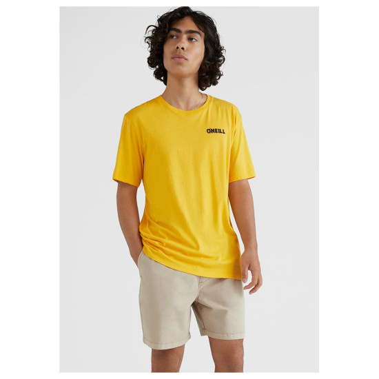 O'neill Ανδρική κοντομάνικη μπλούζα Splash T-Shirt